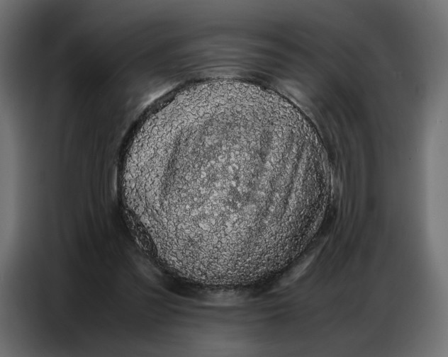 X0000086740301200705041413