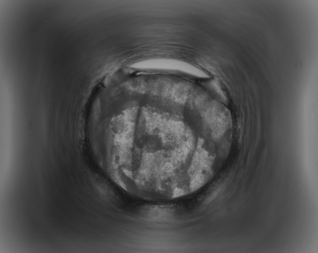 X0000086740303200705041413