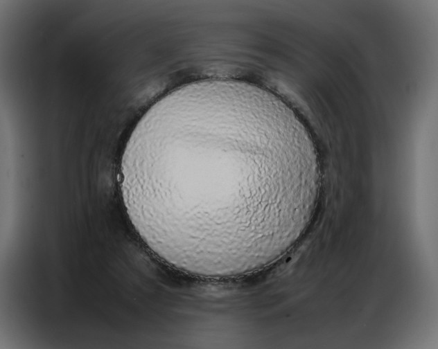 X0000086740305200705041413