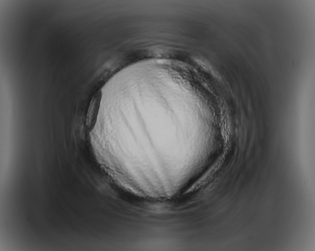 X0000086740313200705041413