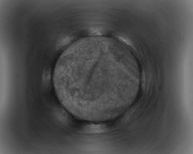 X0000086740314200705041413