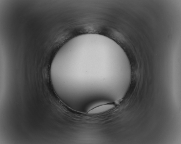 X0000086740317200705041413