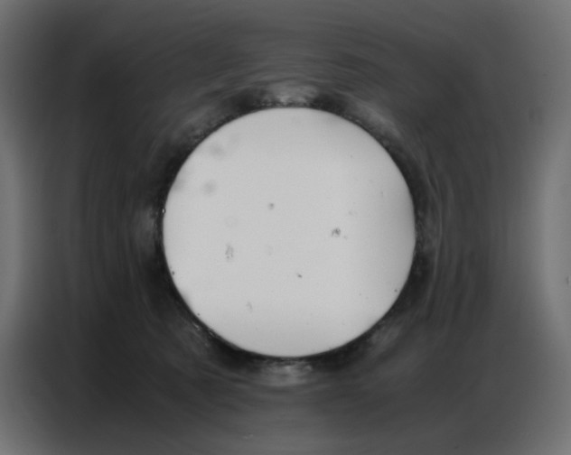 X0000086740321200705041412