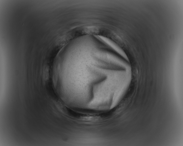 X0000086740323200705041412