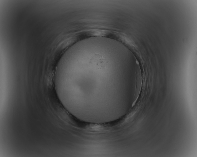 X0000086740325200705041412