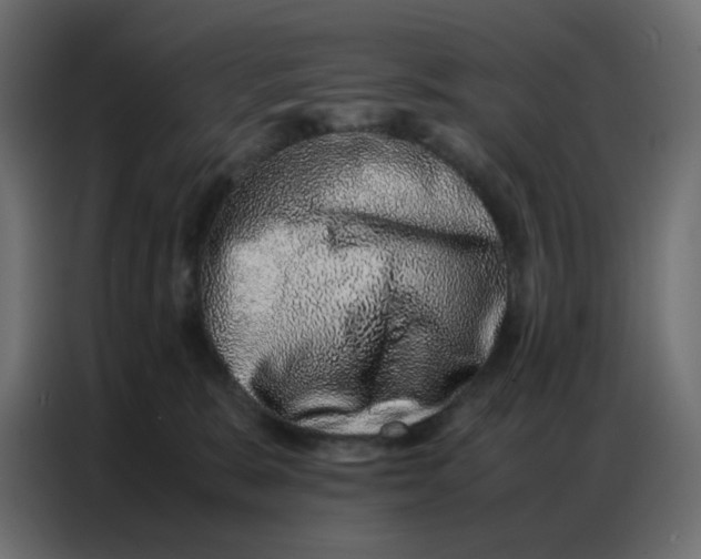 X0000086740327200705041412