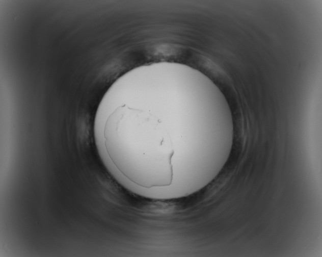 X0000086740328200705041412