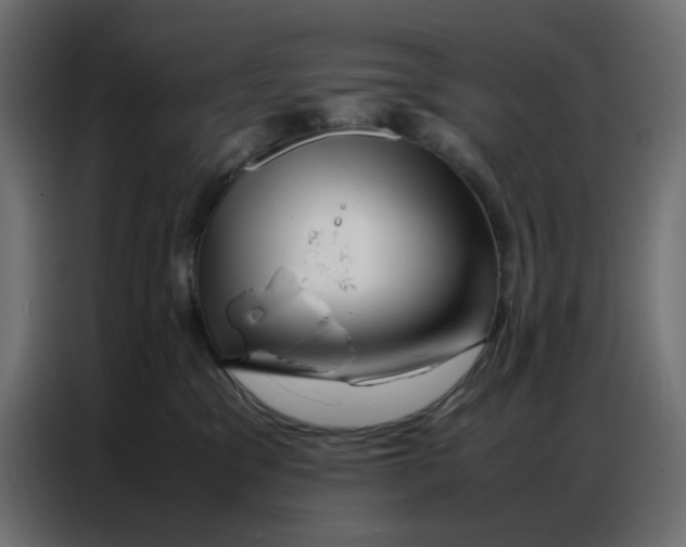 X0000086740329200705041412