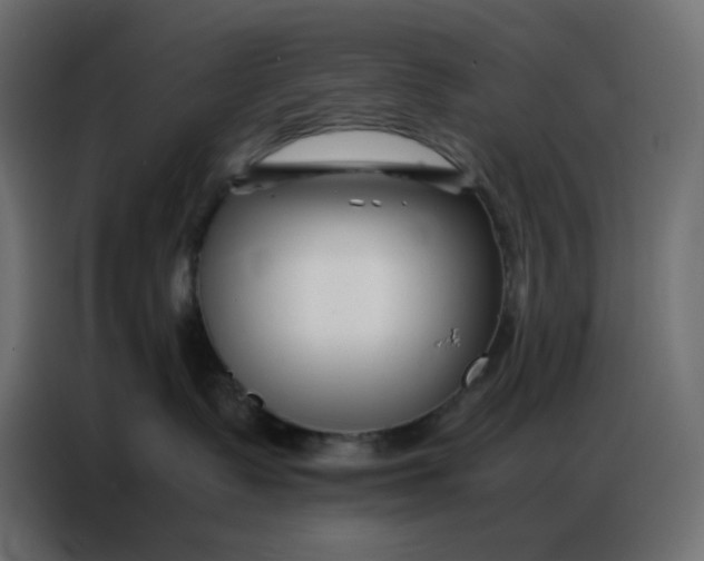 X0000086740335200705041412