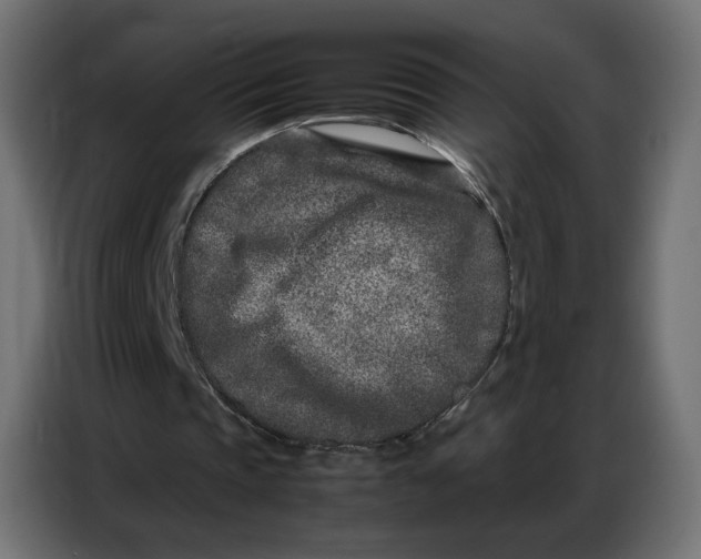 X0000086740337200705041412