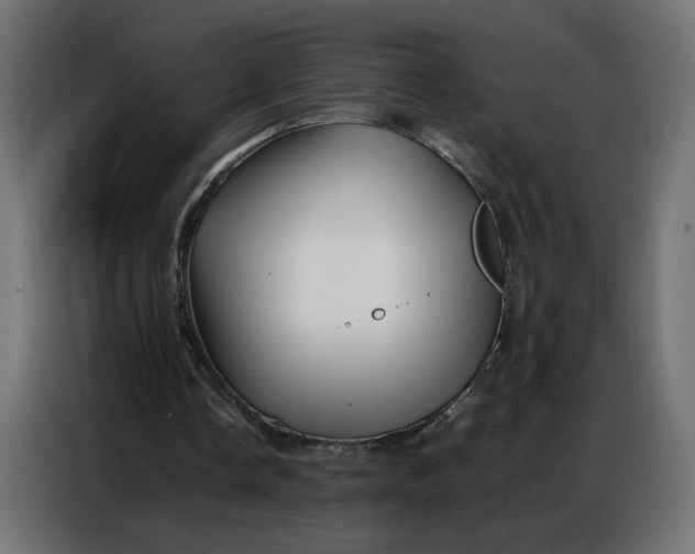 X0000086740338200705041412