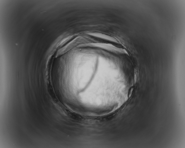 X0000086740339200705041412