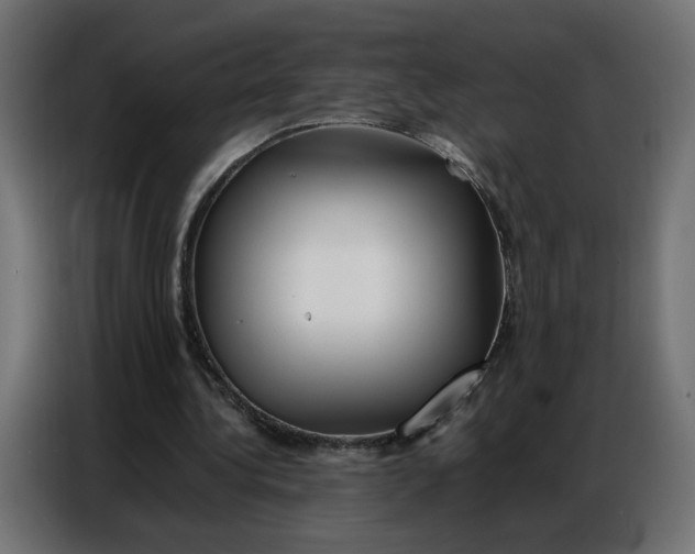 X0000086740340200705041412