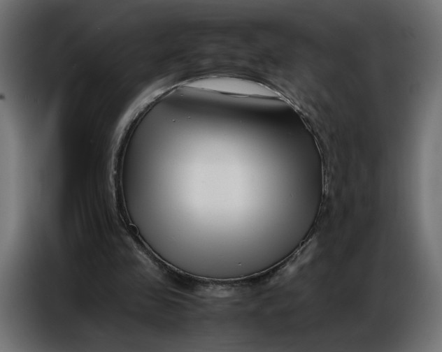 X0000086740341200705041412