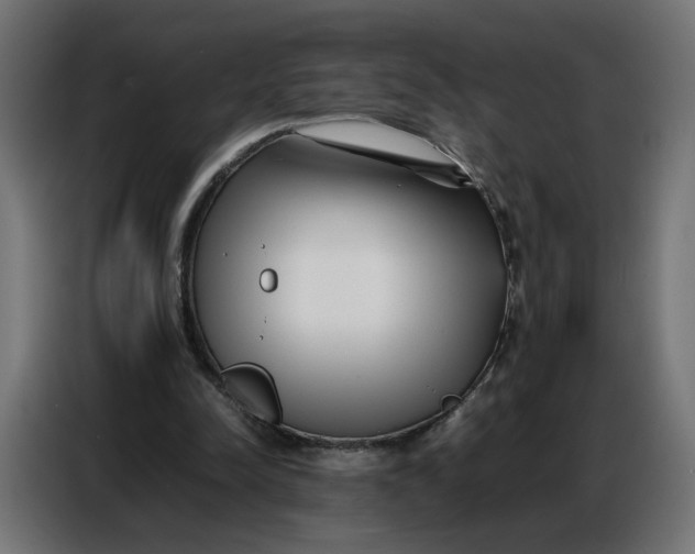 X0000086740342200705041412