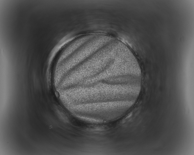 X0000086740343200705041412