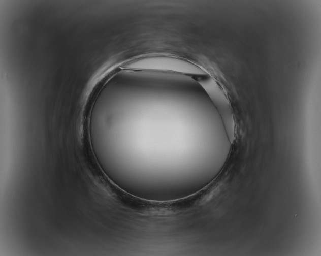 X0000086740344200705041412