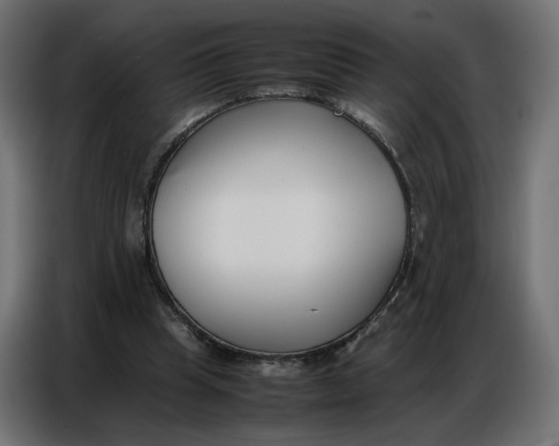 X0000086740345200705041412