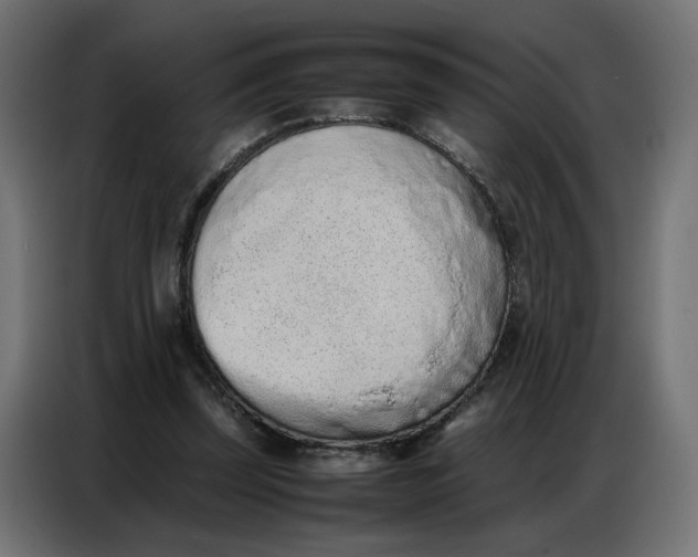 X0000086740347200705041412