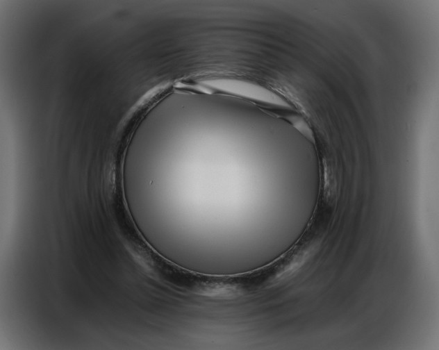 X0000086740348200705041412