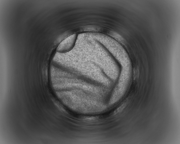 X0000086740349200705041412