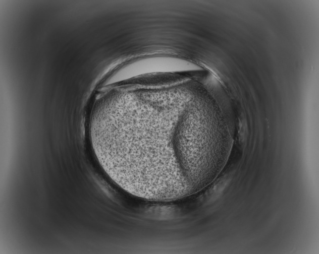 X0000086740350200705041412