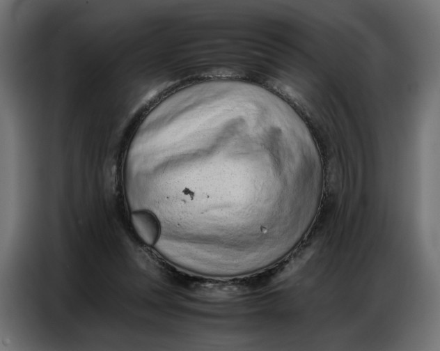 X0000086740351200705041412