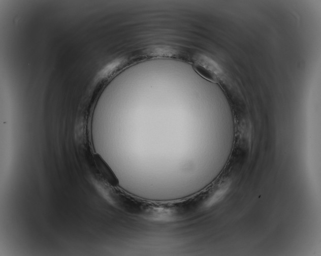 X0000086740352200705041412