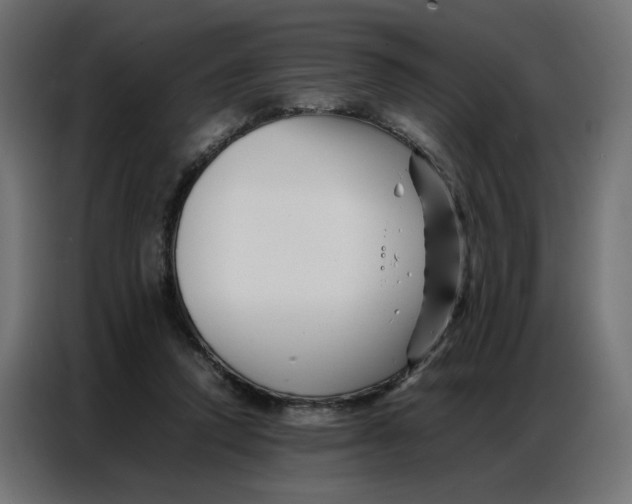 X0000086740354200705041412