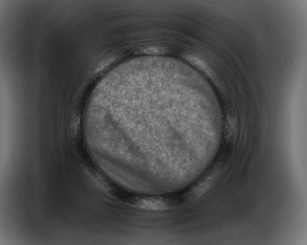 X0000086740355200705041412