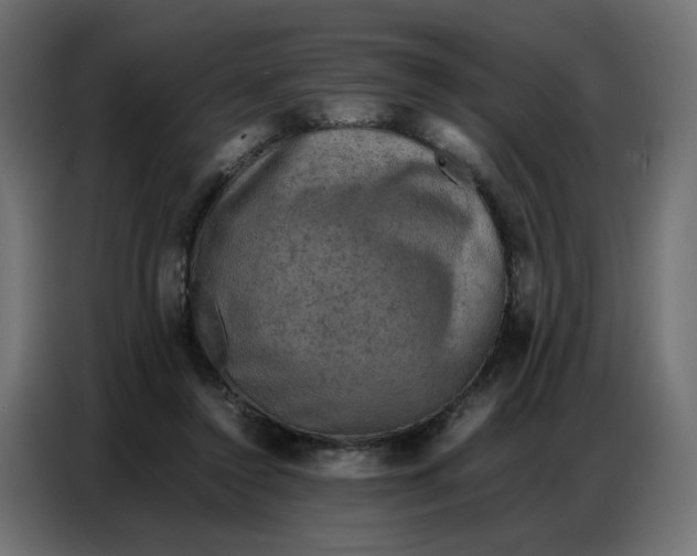 X0000086740356200705041412