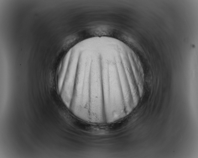 X0000086740359200705041412