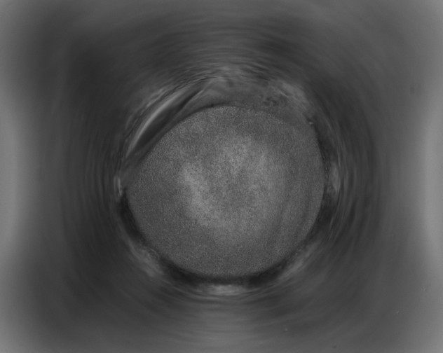 X0000086740360200705041412