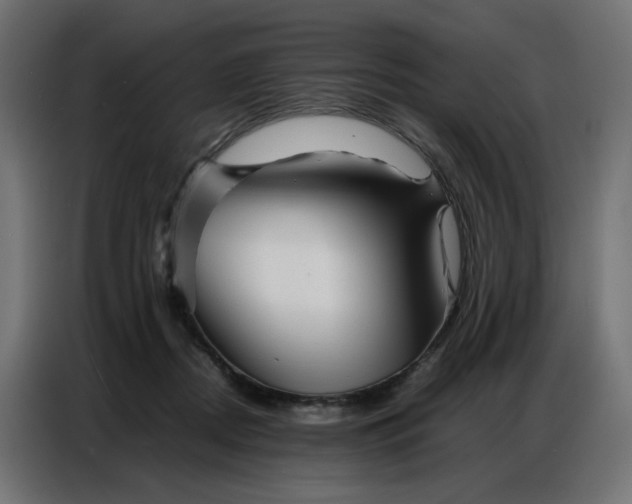 X0000086740362200705041412