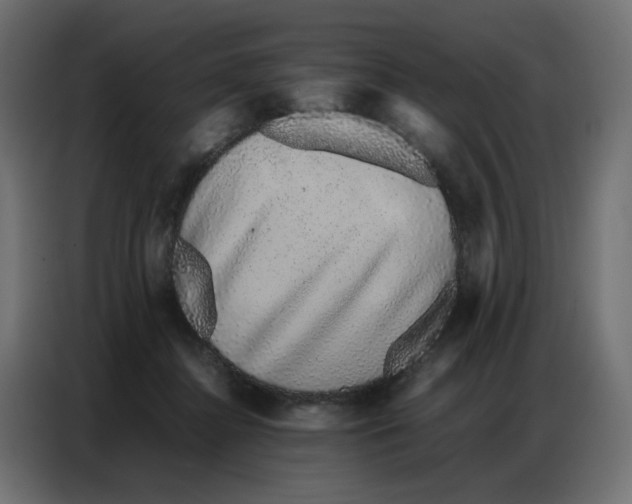 X0000086740364200705041412