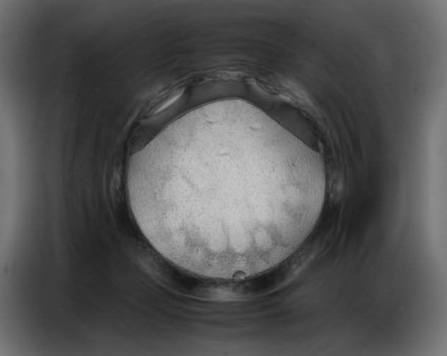 X0000086740365200705041412