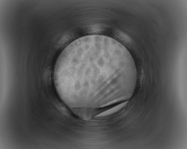 X0000086740366200705041412