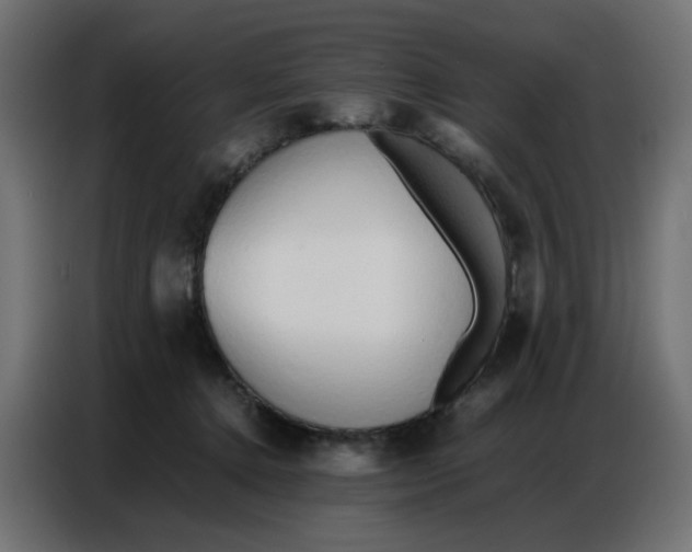 X0000086740368200705041412