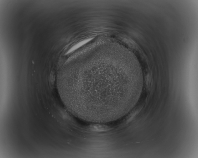 X0000086740372200705041412