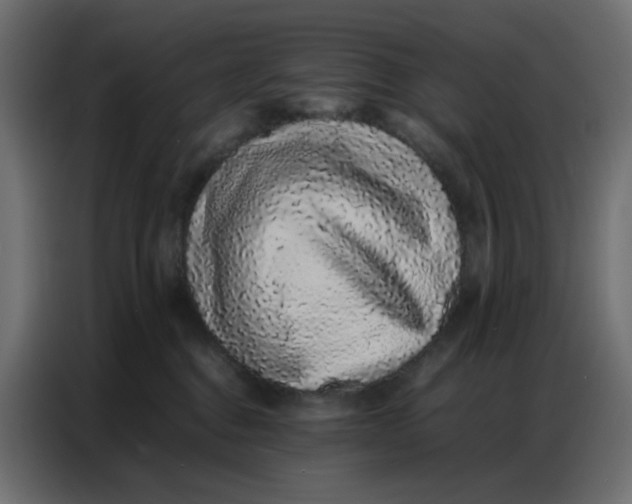 X0000086740376200705041412