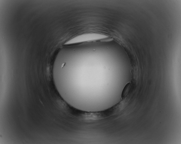 X0000086740378200705041412