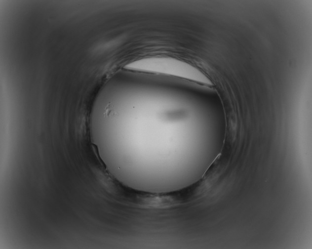 X0000086740379200705041412