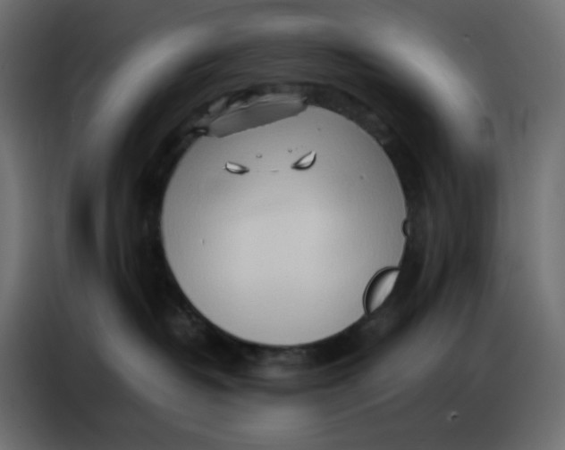 X0000086740382200705041412