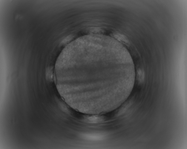 X0000086740383200705041412