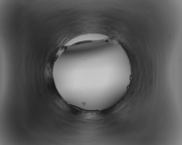 X0000086740384200705041412