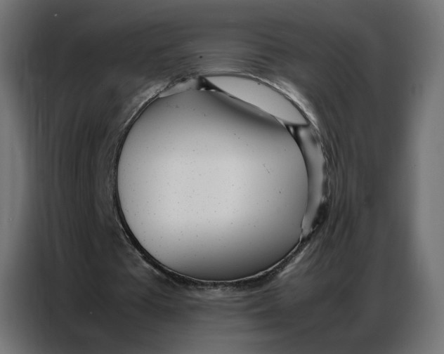 X0000086740385200705041412