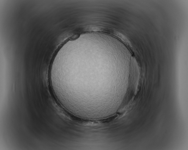 X0000086740386200705041412