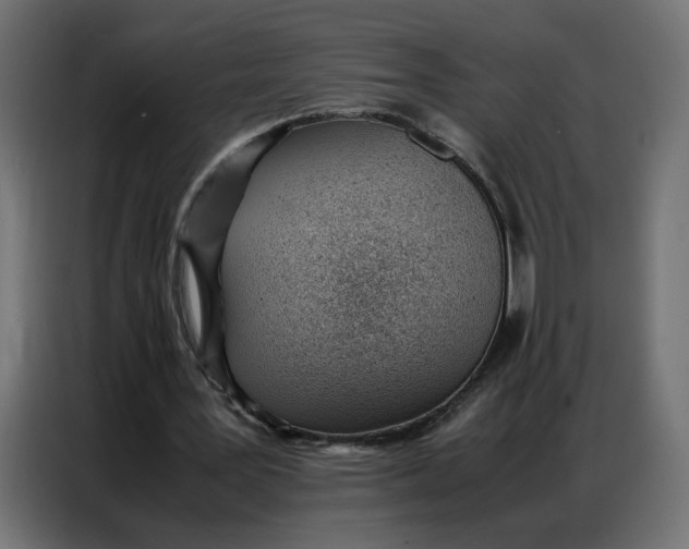 X0000086740387200705041412