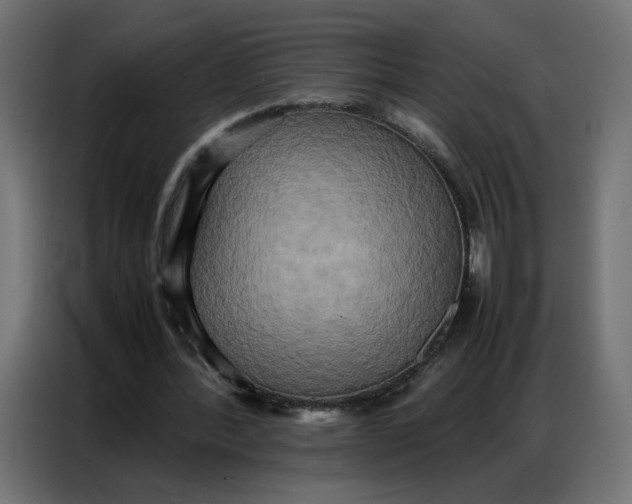 X0000086740388200705041412