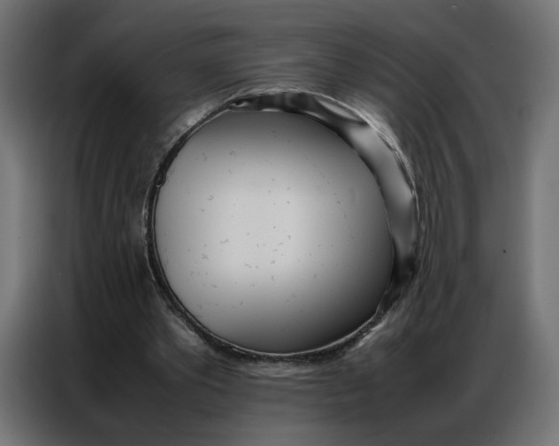 X0000086740389200705041412